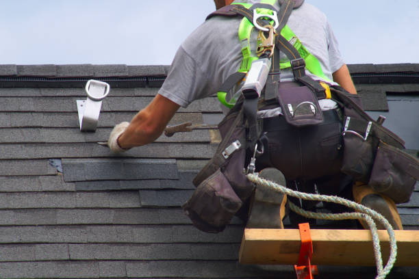 Best Roof Maintenance and Cleaning  in Hemlock, MI