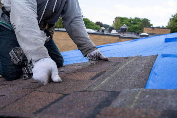 Roof Coating Services in Hemlock, MI